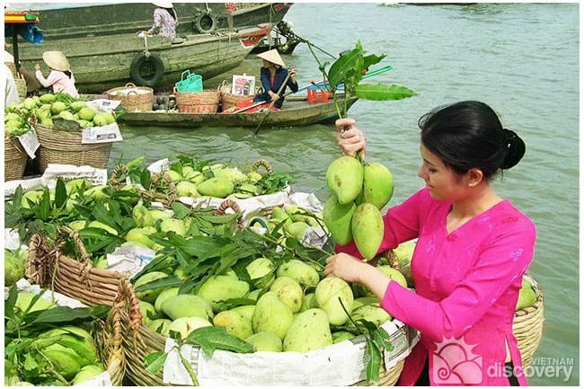 A Community-Based Tour of Mekong Delta