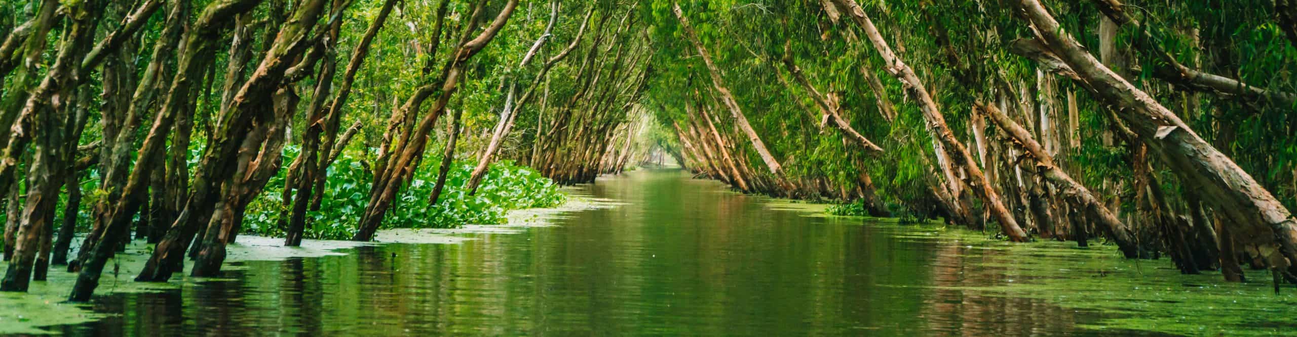 The Best Time to Visit Mekong Delta