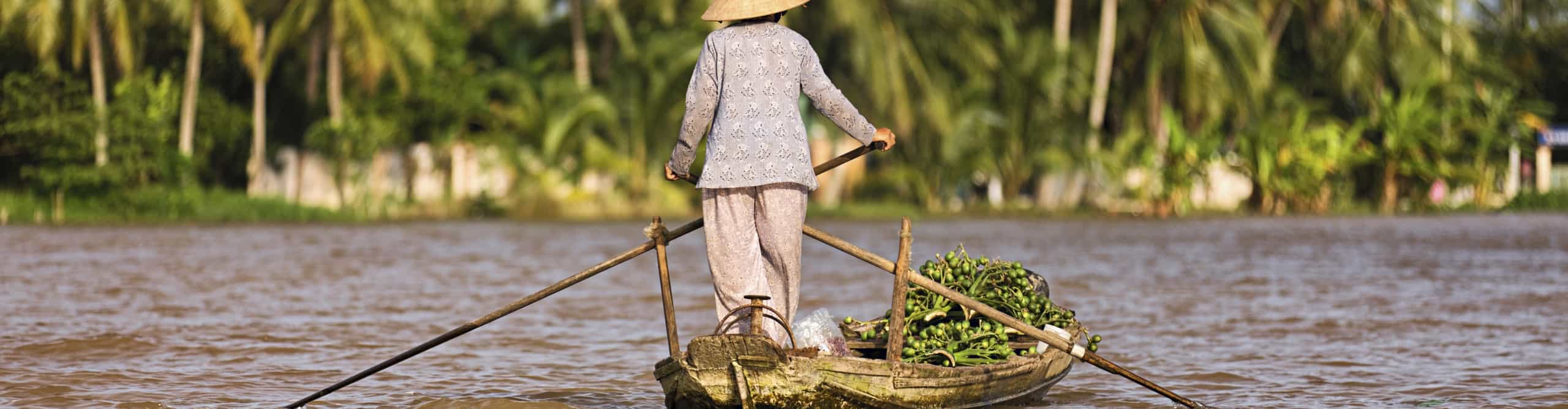 Mekong Delta Activities